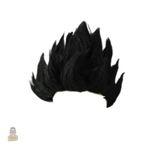 Perruque Sangoku - accessoire amusant et décalé
